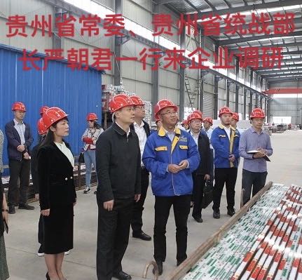 貴州省常委、貴州省統(tǒng)戰(zhàn)部長嚴(yán)朝君一行來企業(yè)調(diào)研
